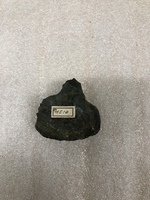 M 01510
<br/>
<br/>
<em></em>